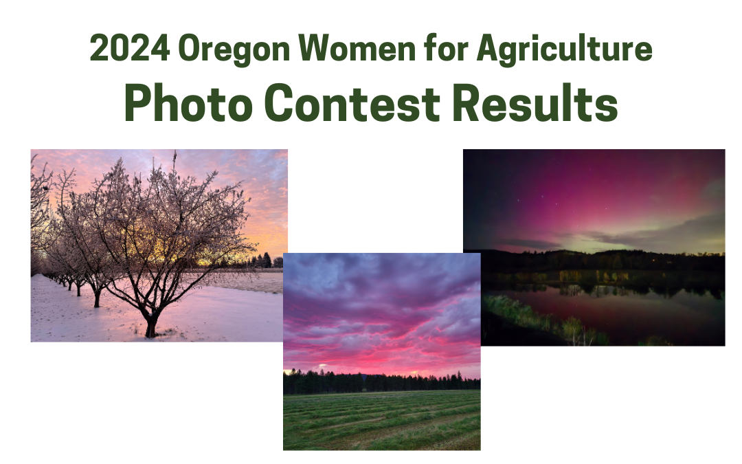 2024 Photo Contest Results